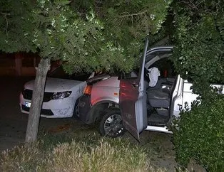 Polisten kaçan sarhoş ağaca çarptı