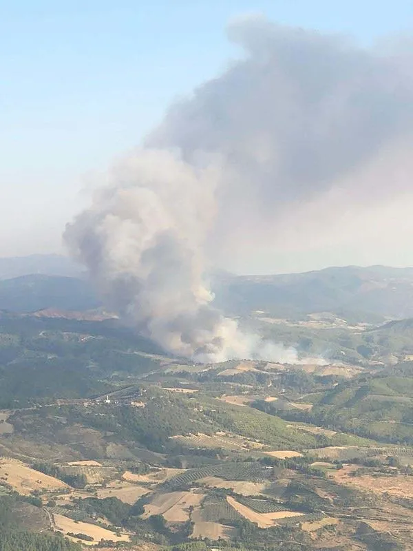 Manisa Gördes'teki orman yangınına havadan ve karadan müdahale-3