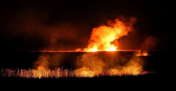 Son dakika: Mersin’deki Göksu Deltası’nda yangın çıktı! Saatler sonra kontrol altına alındı