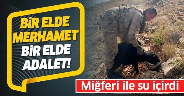 Yıldırım-11 Herekol Operasyonunda görevli bir Mehmetçik dağda susuz kalan oğlağa miğferinden su içirdi