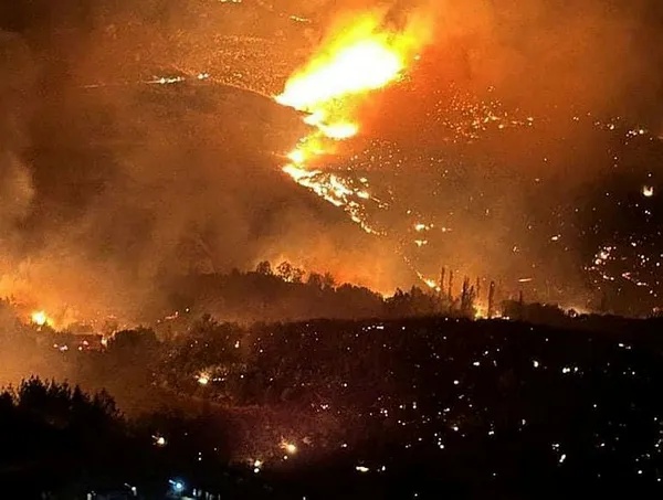 Mersin, Hatay, Çanakkale, Tekirdağ, Adana, Balıkesir, Diyarbakır'da orman yangını! Yangında son durum ne?-21