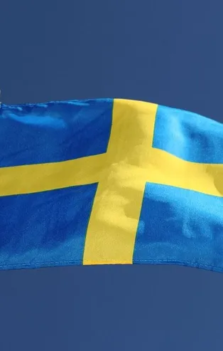 İsveç'te ırkçı partiden ırkçı vaat