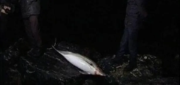 Ölüm sebebleri belli oldu