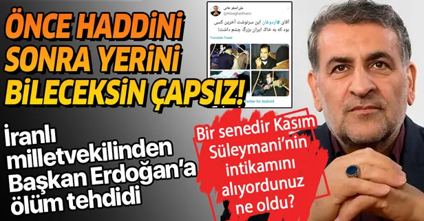 İranlı Milletvekili Ali Asker Hani'den alçak paylaşım: Başkan Recep Tayyip Erdoğan'a ölüm tehdidi
