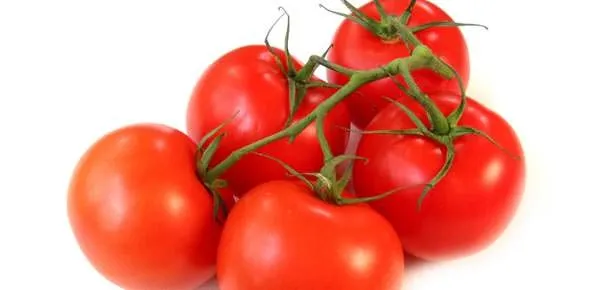 Domatesin kilosu 20 kuruşa düştü