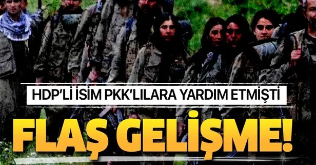 HDP’li İlçe Başkanı Abdullah Ekerek PKK’lılara destek verdiği gerekçesiyle tutuklandı!
