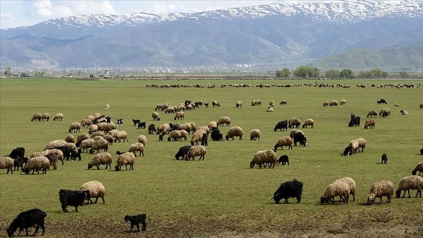 ipard-3-basvurusu-nasil-yapilir-ve-sartlari-neler-desteklenen-sektorler-1781912286673.jpeg Tarıma 30 milyon euro hibe desteği: IPARD 3 başvurusu nasıl yapılır ve şartları neler?-3