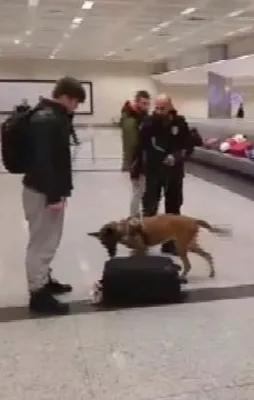 Hollanda'nın uygulamasına Türkiye'den misilleme