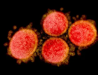 Koronavirüs hava yoluyla bulaşır mı? DSÖ açıkladı