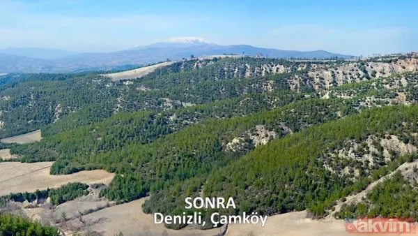 CHP ve yandaşı medyanın yangınlar üzerinden kirli algı oyunu çöktü: 'Otel yapacaklar' dedikleri alanlar tek tek yeşillendirildi - 18