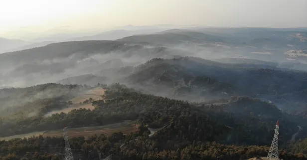Son dakika: Çanakkale yangınında küle dönene alanlar böyle görüntülendi