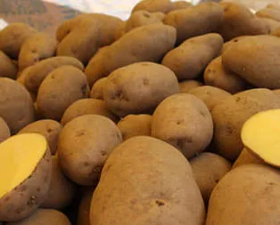 Rekabet Kurumu devreye girdi