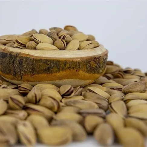 Böbreklere antep fıstığı