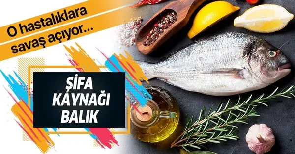 Balik Sifa Dagitiyor Iste Faydalari Takvim