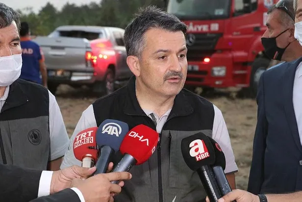 Son dakika: Denizli Çardak'taki yangın kontrol altına alındı: Yangının izleri gün ışığıyla ortaya çıktı-3