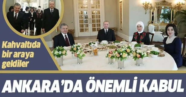 Erdoğan, Mirziyoyev ile görüştü