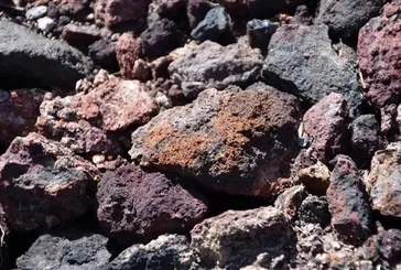 CHP NTE’yi engellemek istedi