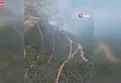 Manisa'da orman yangınına havadan ve karadan müdahale
