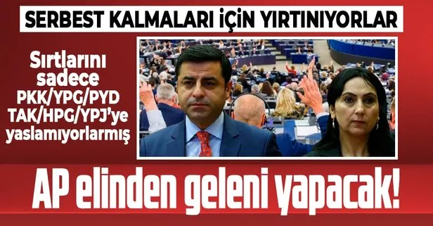 AP, Selahattin Demirtaş ve sırtını PKK/YPG/PYD’ye yaslayan Figen Yüksekdağ’ın hapisten çıkması için elinden geleni yapacak