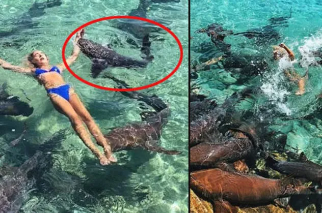 Instagram pozu vermek isteyen Katarina Zatutskie köpek balığı saldırısına uğradı