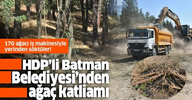HDP’li Batman Belediyesi’nden ağaç katliamı