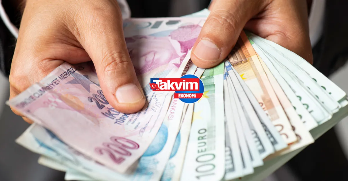 Geri ödemesiz, karşılıksız! 20 ay boyunca 320 Euro ödenecek! SGK ve AB destekli hibe! e-Devlet üzerinden başvuran herkes alacak!