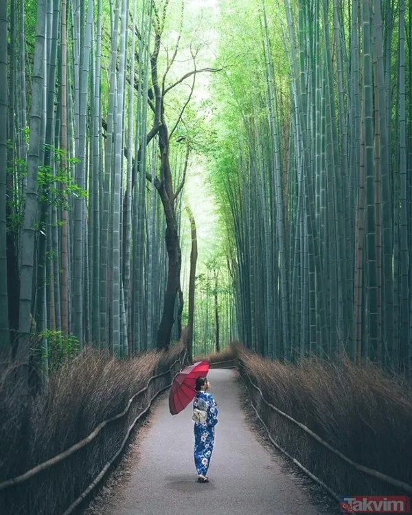 Ölmeden önce görmemiz gereken gizli kalmış cennetler - 10