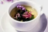 Adaçayı hastalık savaşçısı