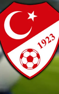 Milli Takımın yeni patronu kim olacak?