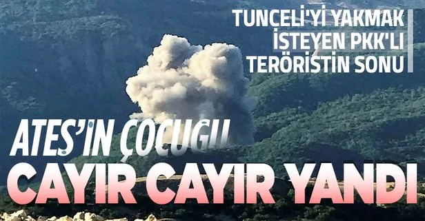 Tunceli’de ormanı ateşe veren PKK’lılara operasyon: 1 terörist öldürüldü