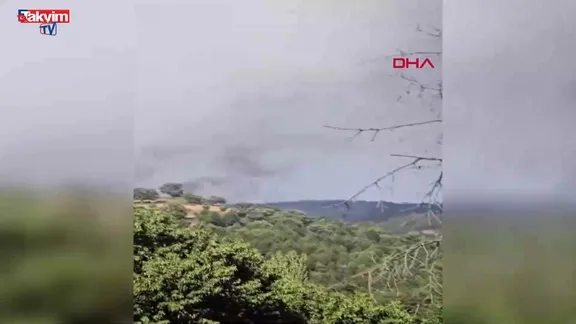 Sındırgı'da orman yangını!