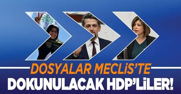 HDP’li vekillerin dokunulmazlık dosyası TBMM’de!