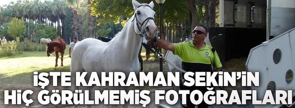 Vatan evlatlarına veda-3