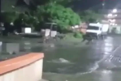 Bir garip olay! Hindistan'da barınaklarını su basan aslanlar sokağa indi-3