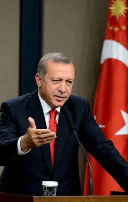 Erdoğan'dan milli sporculara tebrik