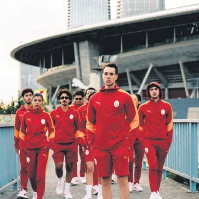 Aslan parçalarına özel