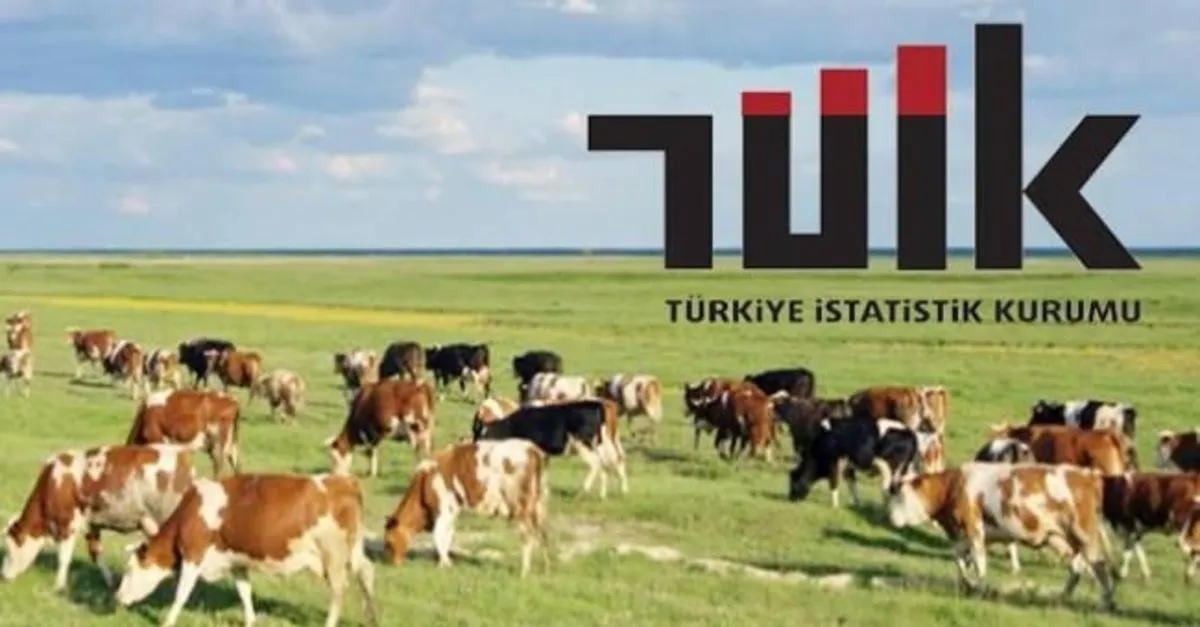 son dakika tuik 2019 yilina iliskin hayvansal uretim istatistiklerini acikladi takvim