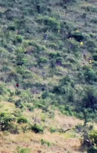 Uganda'da 219 mahkum çıplak halde firar etti!