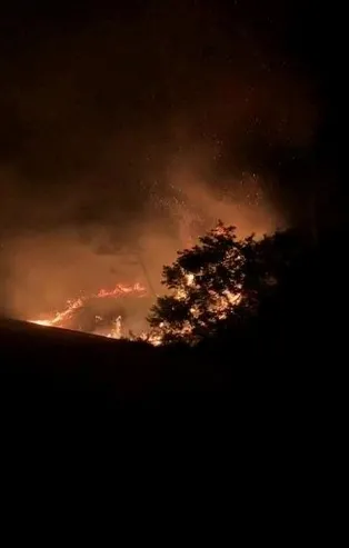 Son dakika: Sarıyer'de korkutan orman yangını