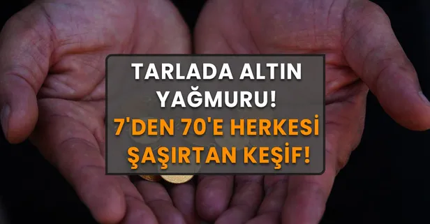 7'den 70'e Herkesi Şaşırtan Keşif Ortaya Çıktı! Tarladan Adeta Altın Fışkırdı!