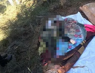 İstanbul’da vahşet! Mantar ararken buldular