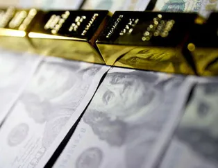Dolar ve altın yatırımı olanlar dikkat! Getirisi hepsini geride bıraktı