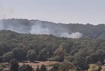 Sarıyer’de orman yangını!