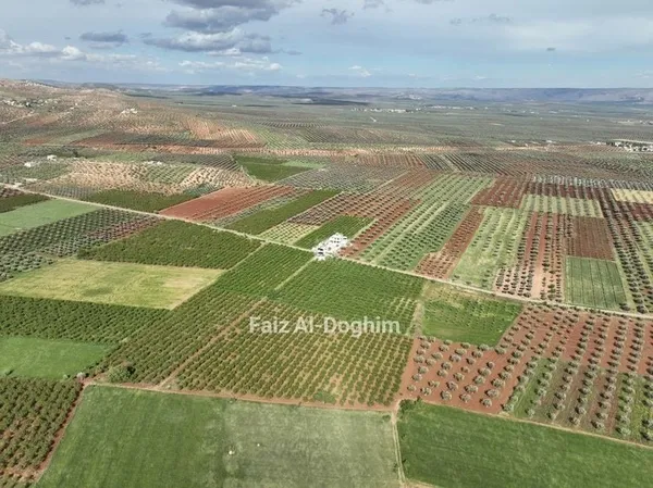 Son dakika: Başkan Erdoğan duyurmuştu! MİT'in nefes kesen operasyonu dünya basınında: Teröristleri avlamaya devam-7