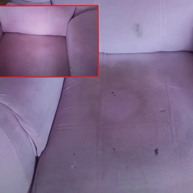 Koltuğunuzdan çıkan kire inanamayacaksınız