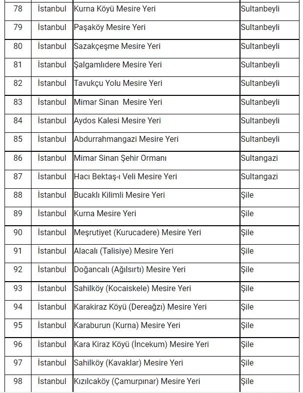 Son dakika: İstanbul'da ormanlara giriş yasağı! Vali Yerlikaya duyurdu: Ormanlara giriş yasağı 31 Temmuz'a kadar sürecek! İşte mangal yapmanın yasak olduğu yerler...-12