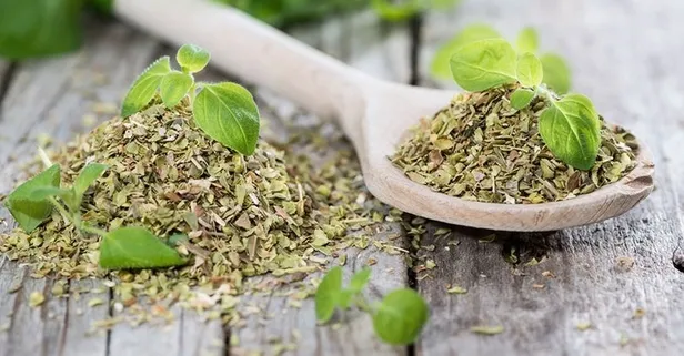 Kepeğe kekikle son!