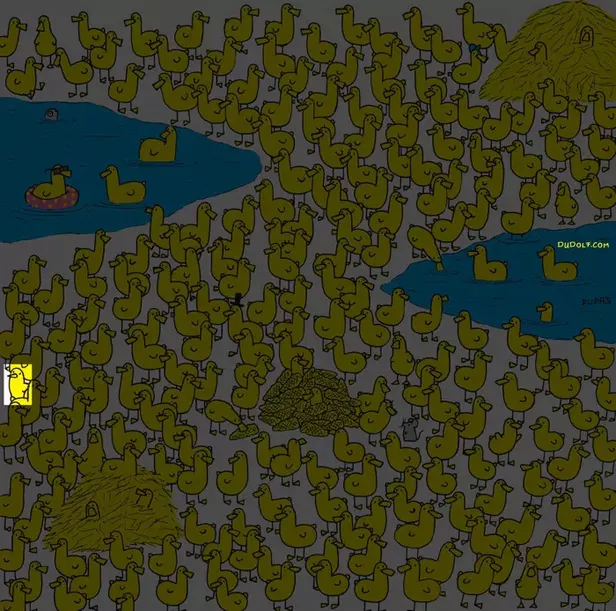 ordeklerin-arasindaki-civcivi-iqsu-yuksek-ve-sniper-gibi-gozlere-sahip-olanlar-buluyor-1696687135881.jpg Ördeklerin arasındaki civcivi IQ'su yüksek ve sniper gibi gözlere sahip olanlar buluyor-5