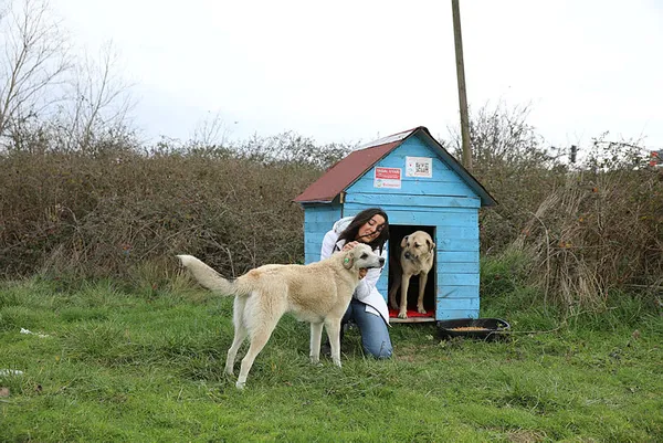 THY kabin memurundan örnek davranış!-2