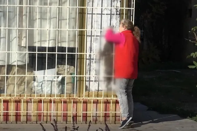 Antalya'da kediyi çelik telle asarak öldüren kişi her yerde aranıyor